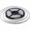 LED STRIP 5050SMD 10mm RGBW 4000K IP33 14,4W/M 1200LM/60D CRI 90-95 24V *SMD